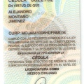 Ampliar imagen: certificate 2