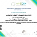 Ampliar imagen: certificate 5