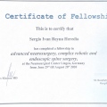Ampliar imagen: certificate 6