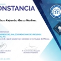 Ampliar imagen: certificate 12