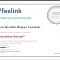 Ampliar imagen: certificate 11