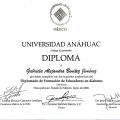 Ampliar imagen: certificate 5