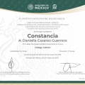 Ampliar imagen: certificate 2