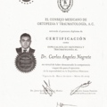 Ampliar imagen: certificate 3