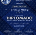 Ampliar imagen: certificate 4