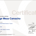 Ampliar imagen: certificate 5