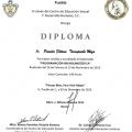 Ampliar imagen: certificate 18