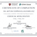 Ampliar imagen: certificate 14