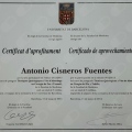 Ampliar imagen: certificate 7