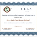 Ampliar imagen: certificate 8