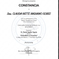 Ampliar imagen: certificate 11