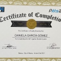 Ampliar imagen: certificate 5
