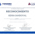 Ampliar imagen: certificate 1