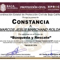 Ampliar imagen: certificate 13