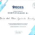 Ampliar imagen: certificate 8