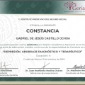 Ampliar imagen: certificate 43
