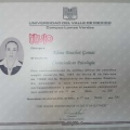 Ampliar imagen: certificate 2