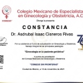 Ampliar imagen: certificate 15