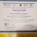 Ampliar imagen: certificate 6