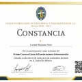 Ampliar imagen: certificate 6