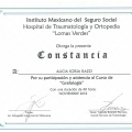 Ampliar imagen: certificate 9