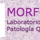 Morfopat