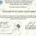 Ampliar imagen: certificate 3