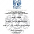 Ampliar imagen: certificate 3