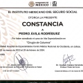 Ampliar imagen: certificate 9