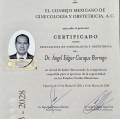 Ampliar imagen: certificate 2