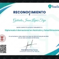 Ampliar imagen: certificate 17
