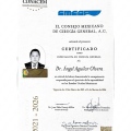 Ampliar imagen: certificate 4