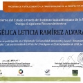 Ampliar imagen: certificate 10