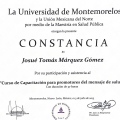 Ampliar imagen: certificate 14