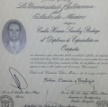 Ampliar imagen: certificate 1