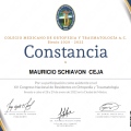 Ampliar imagen: certificate 2