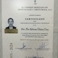 Ampliar imagen: certificate 3