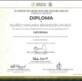 Ampliar imagen: certificate 4