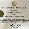 Ampliar imagen: certificate 11