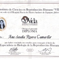 Ampliar imagen: certificate 3