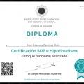 Ampliar imagen: certificate 3