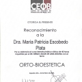 Ampliar imagen: certificate 4