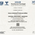Ampliar imagen: certificate 4