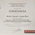 Ampliar imagen: certificate 11