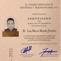 Ampliar imagen: certificate 8