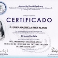 Ampliar imagen: certificate 3