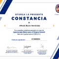 Ampliar imagen: certificate 3