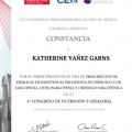 Ampliar imagen: certificate 3