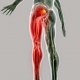 Clinica de Traumatologia y Ortopedia