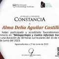 Ampliar imagen: certificate 3